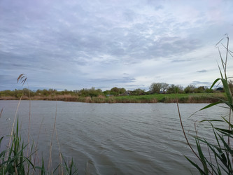 Similar image 22349871