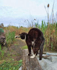 Similar image 22349872