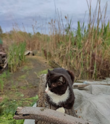 Similar image 22349873