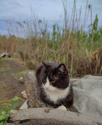 Similar image 22349874