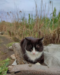 Similar image 22349875