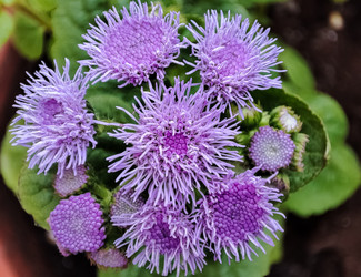 Similar image 22349878