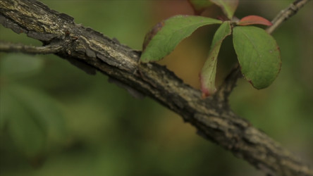 Similar image 22367912