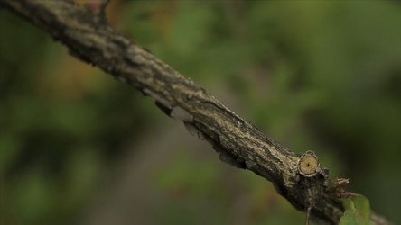 Similar image 22367926