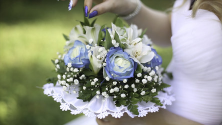 Similar image 22368432