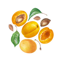 Similar image 22374049