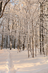 Similar image 22350507