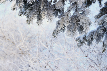 Similar image 22350510