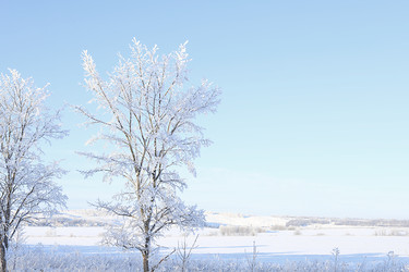 Similar image 22350519