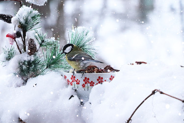 Similar image 22350520