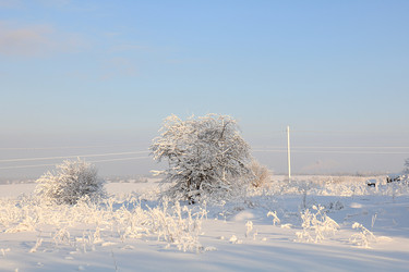 Similar image 22350521