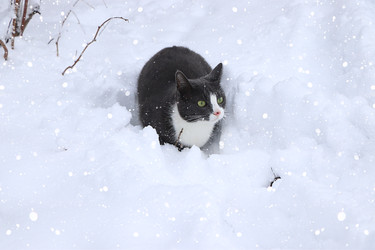 Similar image 22350523