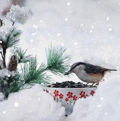 Similar image 22350524