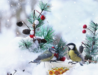 Similar image 22350525