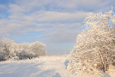 Similar image 22350526