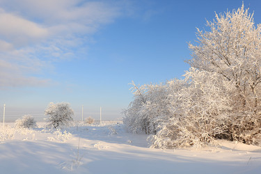 Similar image 22350528