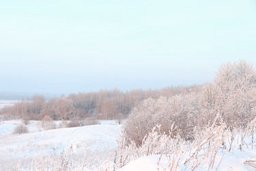 Similar image 22350533