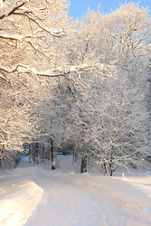 Similar image 22350536