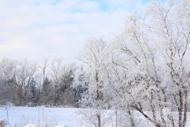 Similar image 22350539