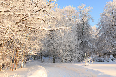 Similar image 22350541