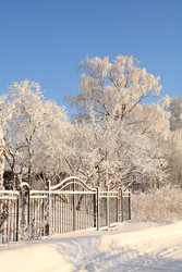 Similar image 22350548