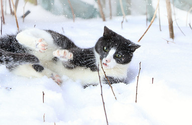 Similar image 22350550