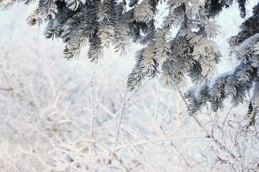 Similar image 22350553