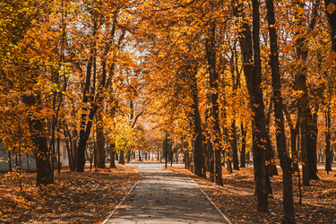 Similar image 22364129