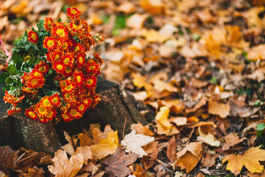 Similar image 22364132