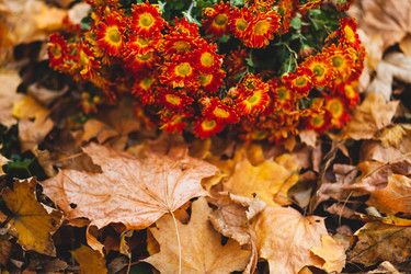 Similar image 22364142