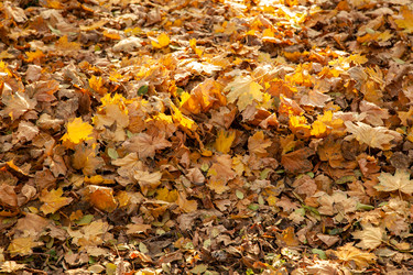 Similar image 22364143