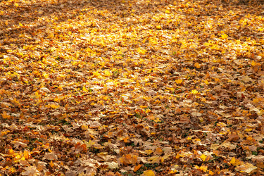 Similar image 22364144