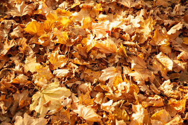 Similar image 22364157