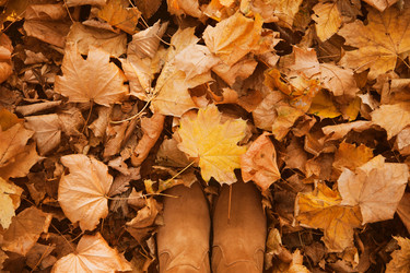 Similar image 22364158