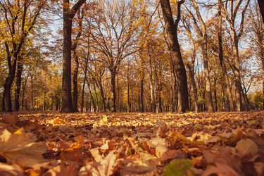 Similar image 22364174