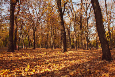 Similar image 22364175