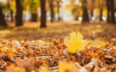 Similar image 22364188