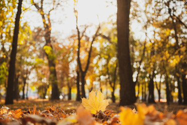 Similar image 22364219