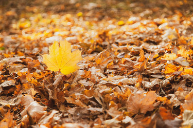 Similar image 22364220