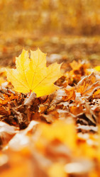 Similar image 22364232