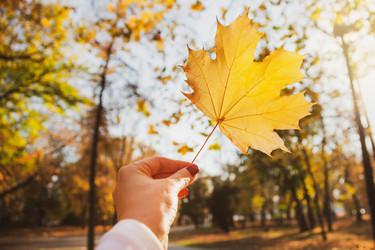 Similar image 22364248