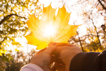 Similar image 22364249