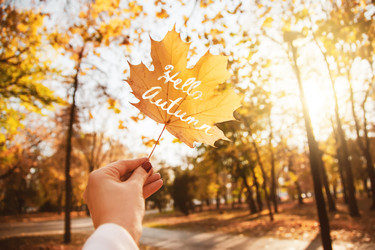 Similar image 22364262