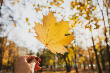 Similar image 22364263