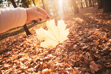 Similar image 22364265