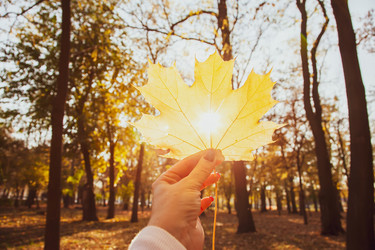 Similar image 22364278