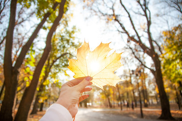 Similar image 22364279