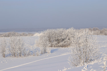 Similar image 22350716