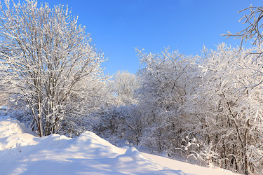 Similar image 22350717