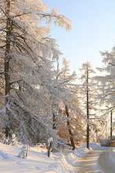 Similar image 22350718